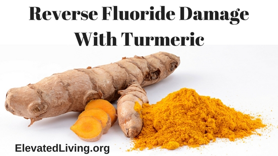 Reverse Fluoride Damage with Turmeric